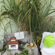 klikni pro více informací