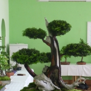 klikni pro více informací