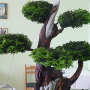 klikni pro více informací