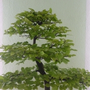 klikni pro více informací