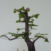 klikni pro více informací