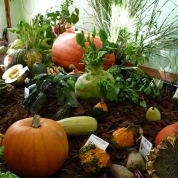 klikni pro více informací