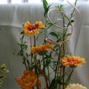 klikni pro více informací