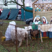 klikni pro velký obrázek