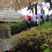 klikni pro více informací