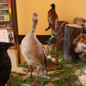 klikni pro více informací