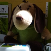 klikni pro velký obrázek