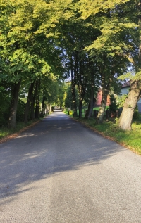 Doubravská alej soutěží o Alej roku 2022