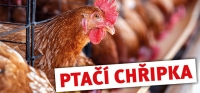 Ptačí chřipka - aktuální nařízení a informace pro chovatele