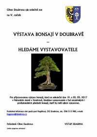 Hledáme vystavovatele z řad pěstitelů bonsají