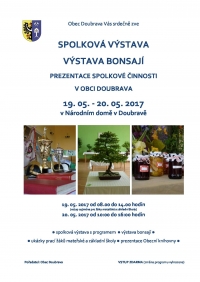 Spolková výstava a výstava bonsají